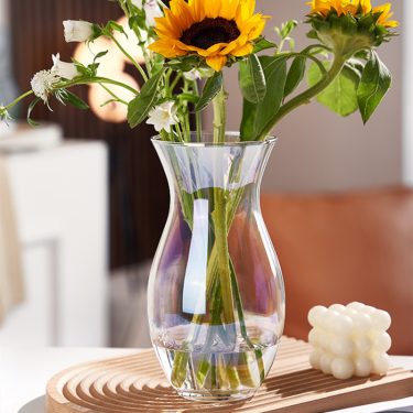 Creative Transparent Glass Vase Desktop Vase Waist-closed Shape Vase for Home Decoration