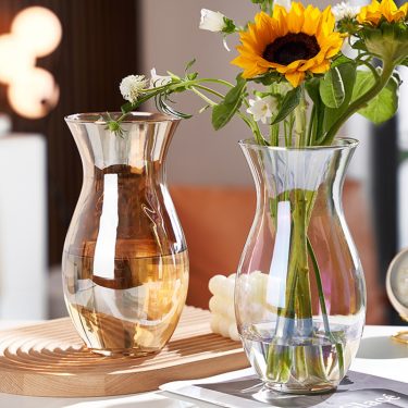 Creative Transparent Glass Vase Desktop Vase Waist-closed Shape Vase for Home Decoration