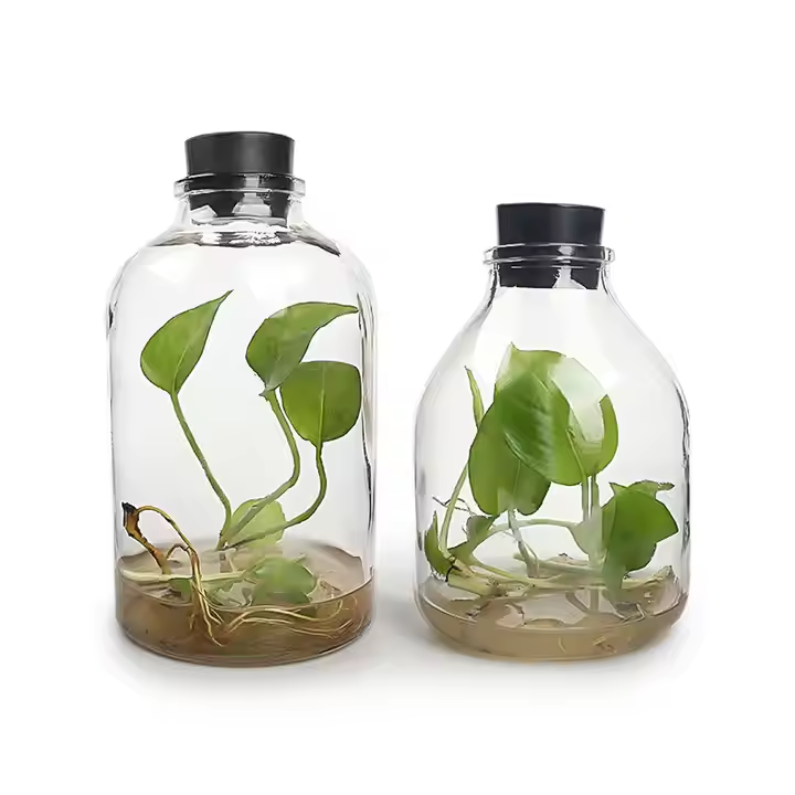 650ml 850ml Plant Tissue Culture Bottle with Plastic Lid