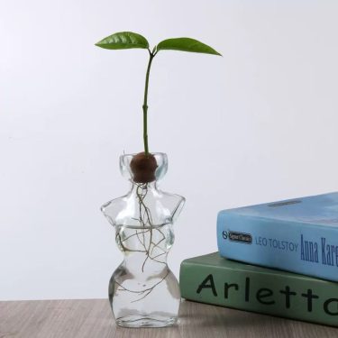 Creative Human Body Shaped Glass Vase Avocado Seed Hydroponic Vase Desktop Home Decorative Glass Bottle