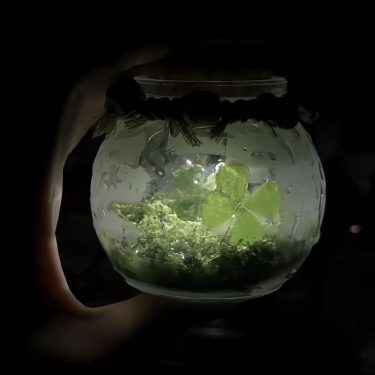 Why Do Some Glass Items Develop Haze After Long Time Storage?