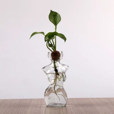 Creative Human Body Shaped Glass Vase Avocado Seed Hydroponic Vase Desktop Home Decorative Glass Bottle