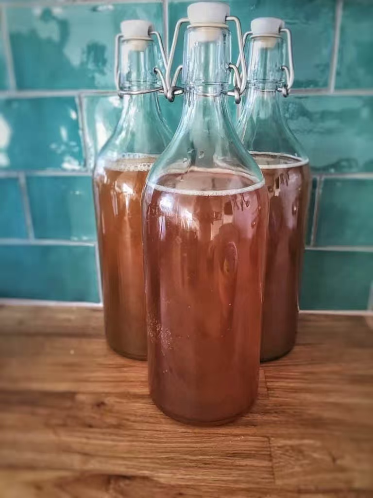 Why Are Swing Top Glass Bottles Popular For Homemade Beverages？