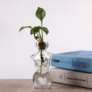 Creative Human Body Shaped Glass Vase Avocado Seed Hydroponic Vase Desktop Home Decorative Glass Bottle