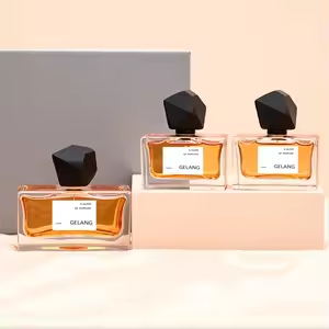 Recommend Luxury Perfume Bottle Square Perfume Glass Bottle 30ML 50ML 100ML Empty Clear Glass Perfume